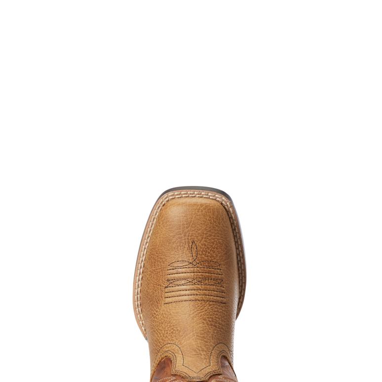 RJ66P3937 botte western lil' hoss Ariat chaussure chalet enfants