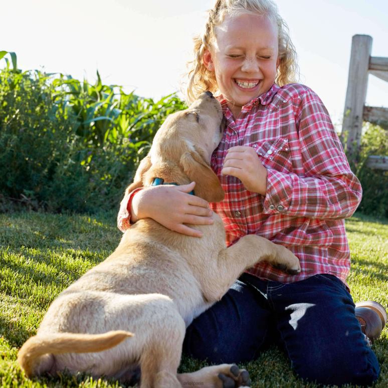 RJ66P3988 jean bootcut entrelacé Ariat collections Dresde enfants