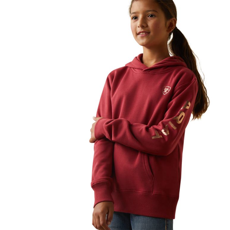 RJ66P4110 sweat à capuche avec logo sur le bras réel Ariat vêtements terre rouge enfants