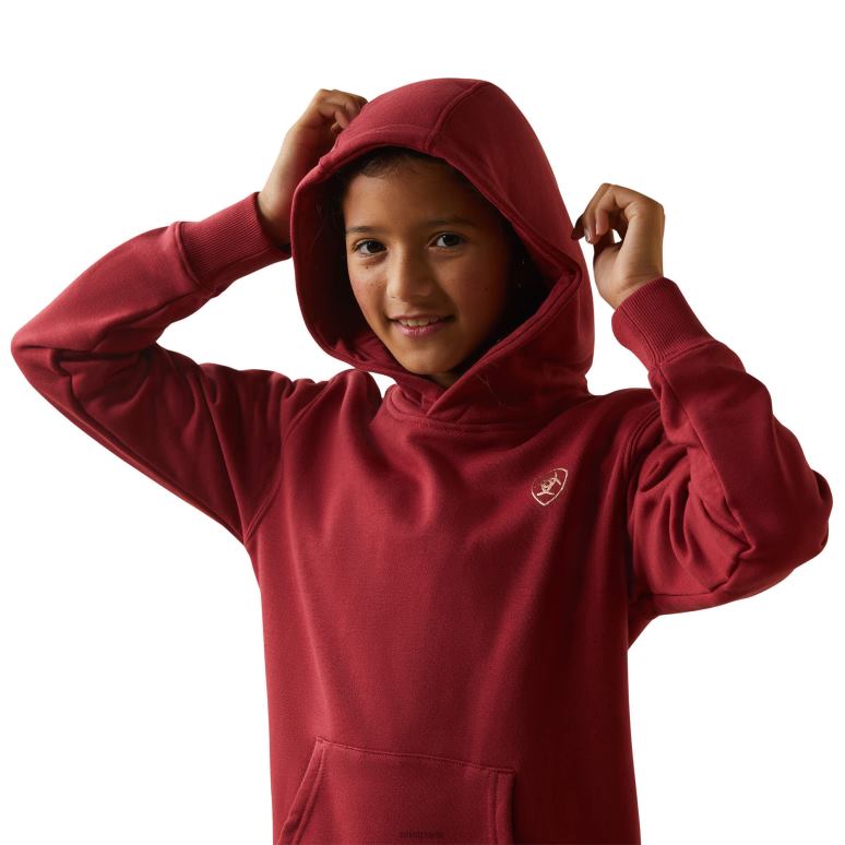 RJ66P4110 sweat à capuche avec logo sur le bras réel Ariat vêtements terre rouge enfants