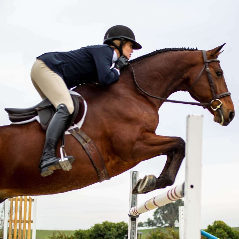 RJ66P2749 culotte de genouillère Speranza Ariat bas bronzer femmes