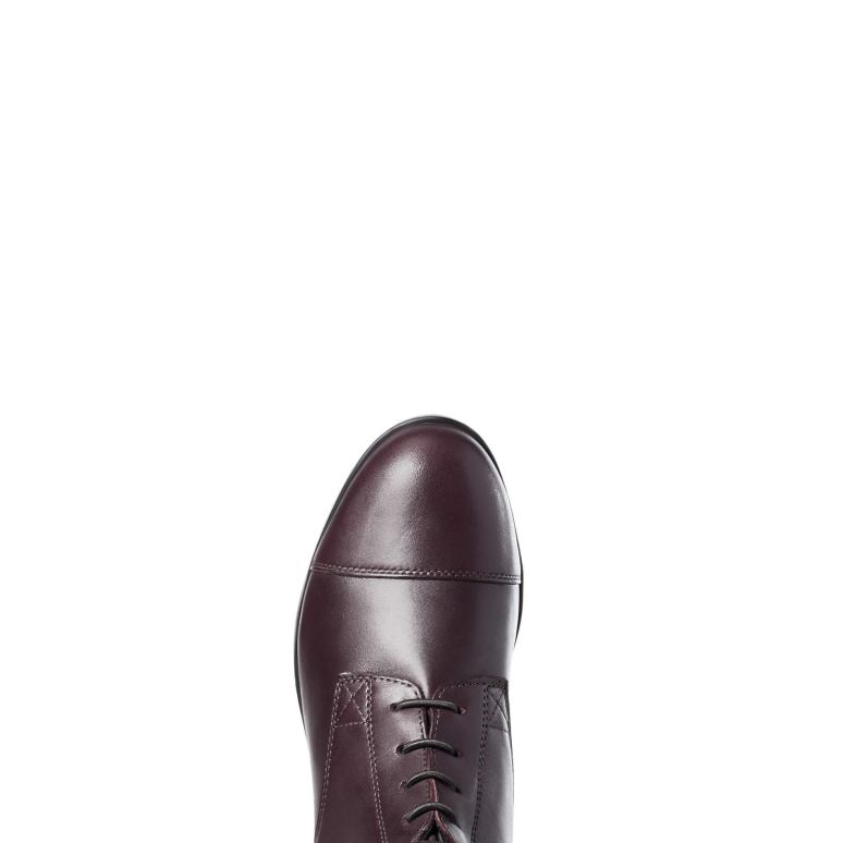 RJ66P2329 botte d'équitation haute à fermeture éclair Heritage Contour II Field Ariat chaussure terre de sienne femmes