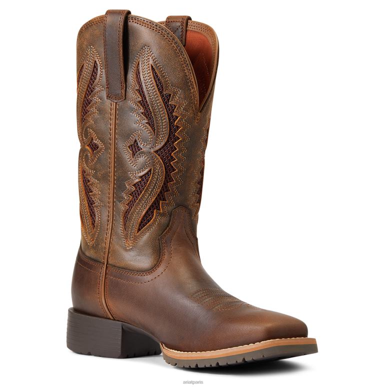 RJ66P2097 botte western hybride rancher venttek 360 degrés Ariat chaussure bronzage vieilli/truffe femmes