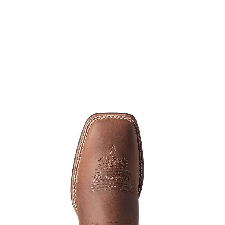 RJ66P2099 Arrondir la botte western patriote Ariat chaussure marron vieilli femmes