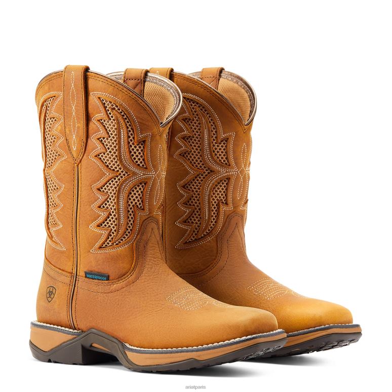 RJ66P2276 Botte western imperméable Anthem Venttek Ariat chaussure blé grillé femmes