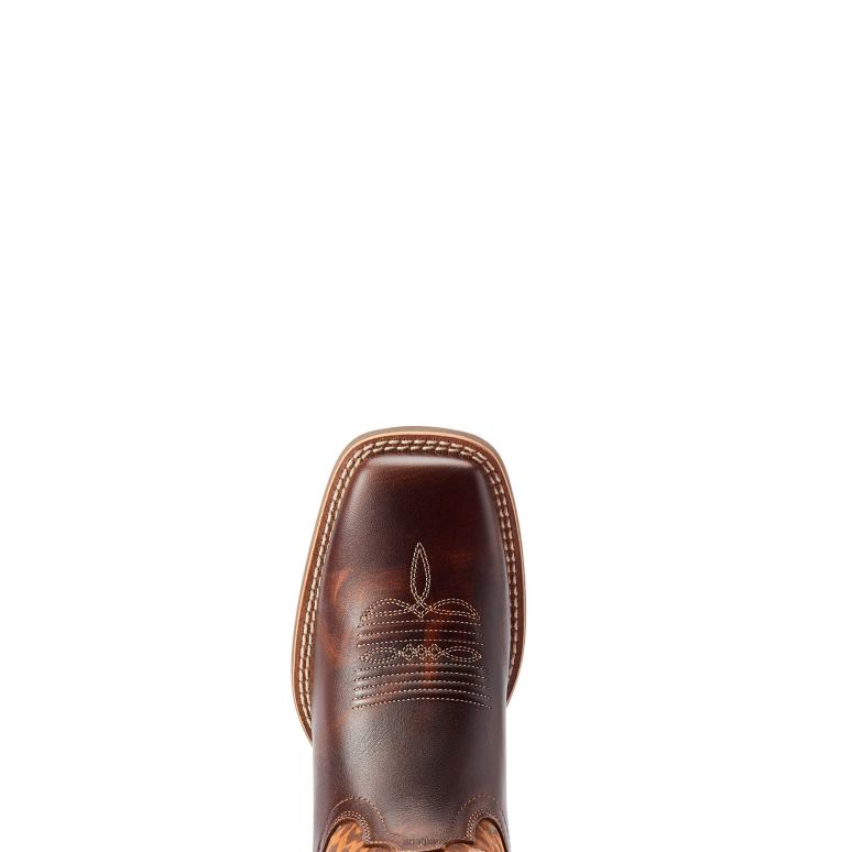 RJ66P2280 botte western pinto venttek 360 degrés Ariat chaussure brun du Yukon femmes