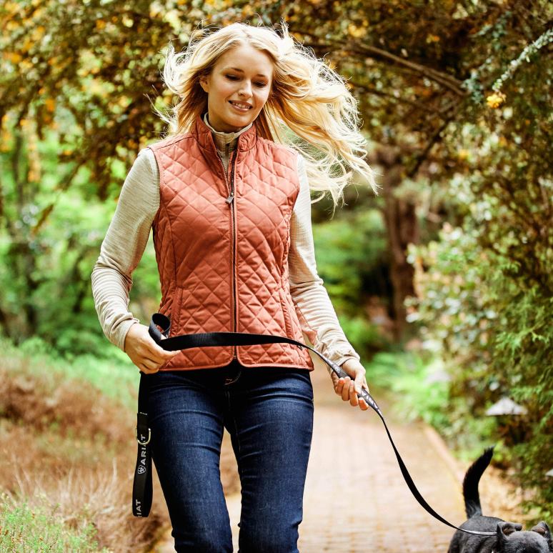 RJ66P3633 gilet en bois Ariat hauts Marsala femmes