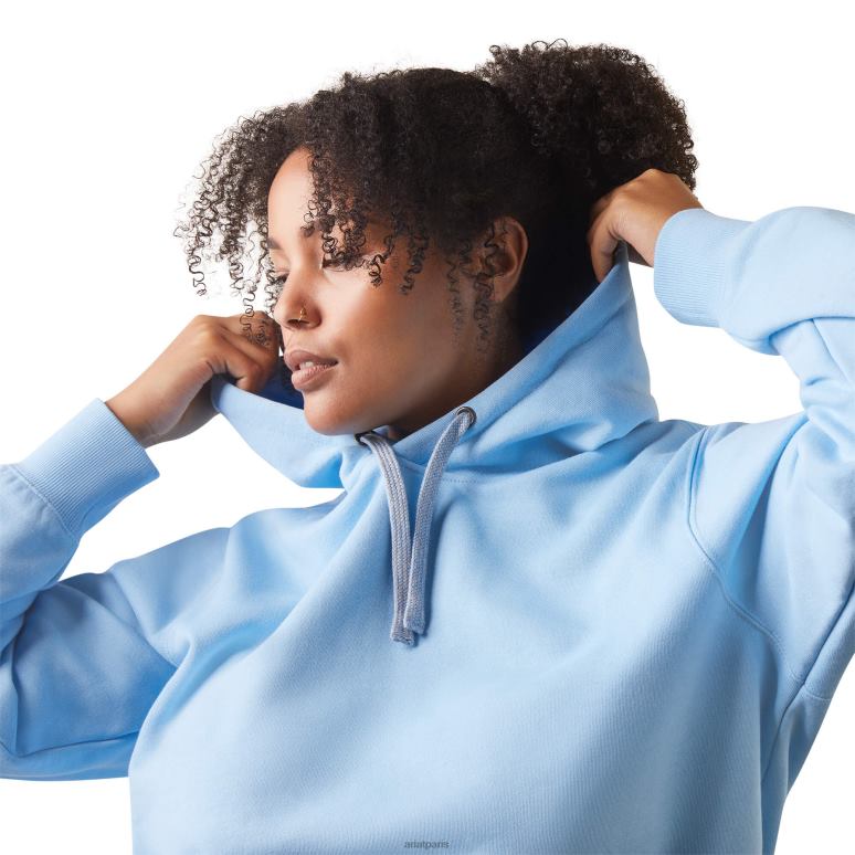 RJ66P3379 sweat à capuche graphique avec barres d'armature Ariat hauts bruyère/crépuscule du canal hollandais femmes