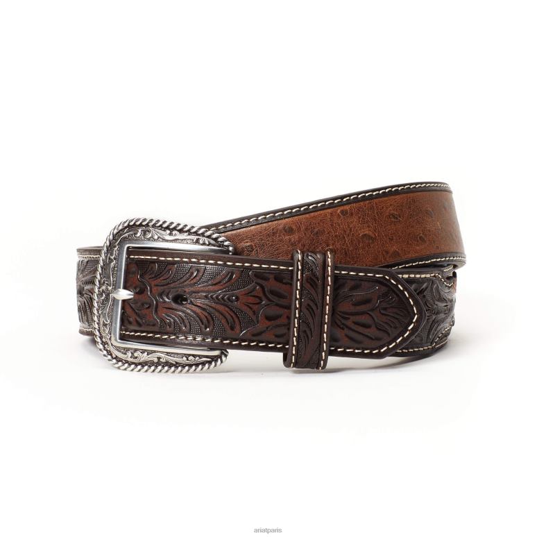 RJ66P1848 Ceinture à outils en autruche de 1,5" Ariat accessoires brun Hommes