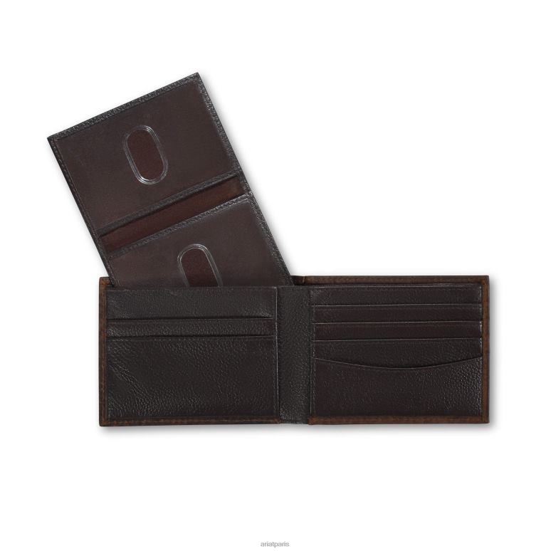 RJ66P1801 portefeuille à deux volets bouclier du Mexique Ariat accessoires brun Hommes