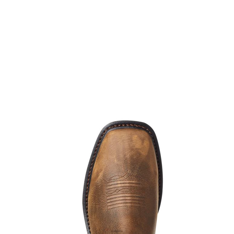 RJ66P263 botte de travail imperméable workhog xt venttek Ariat chaussure brun de seigle Hommes