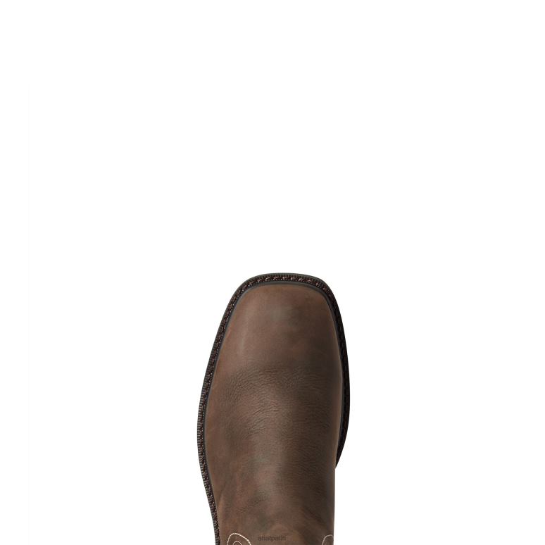 RJ66P267 Botte de travail imperméable à bout carré et large Chelsea Groundbreaker Ariat chaussure marron foncé Hommes
