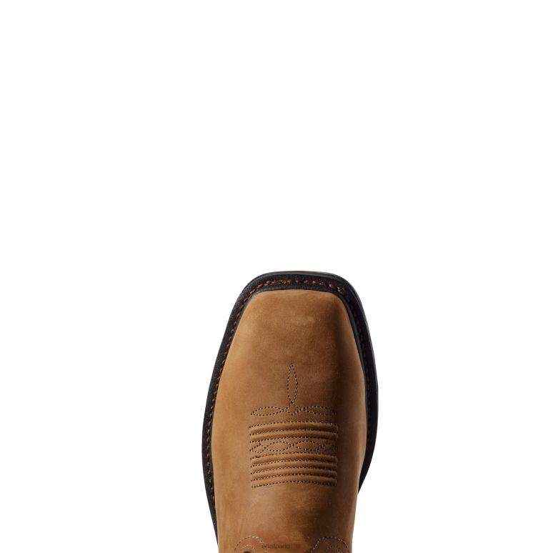 RJ66P318 Botte de travail imperméable à embout en carbone Workhog XT Ariat chaussure marron vieilli Hommes
