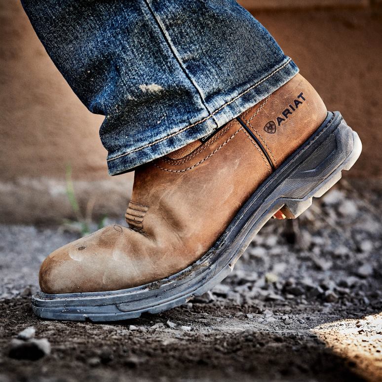 RJ66P318 Botte de travail imperméable à embout en carbone Workhog XT Ariat chaussure marron vieilli Hommes