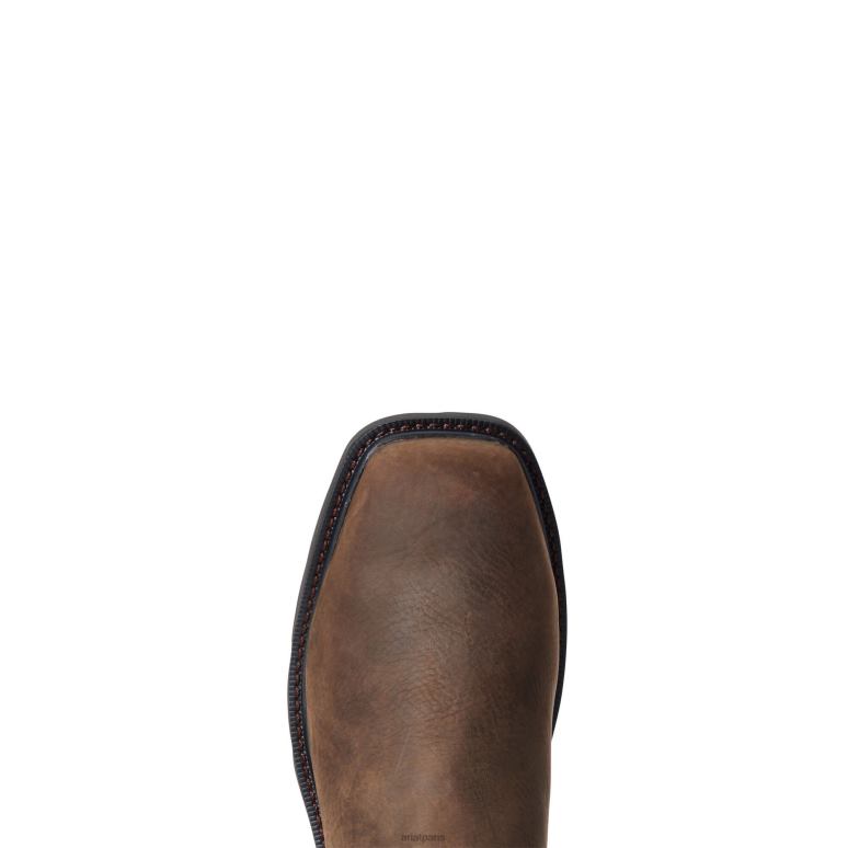 RJ66P341 Botte de travail imperméable à bout carré et large Chelsea Groundbreaker Ariat chaussure marron foncé Hommes