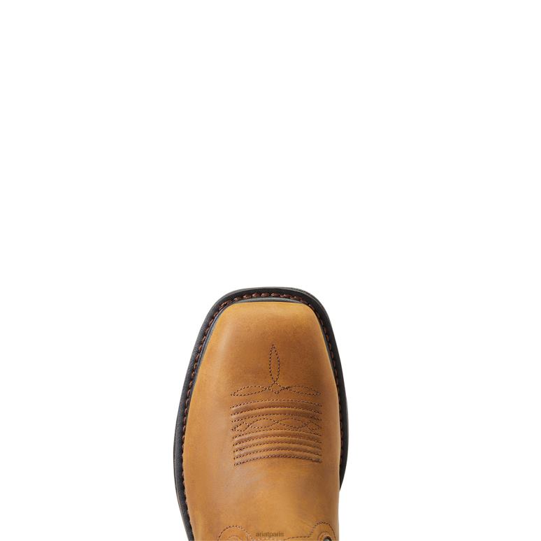 RJ66P353 botte de travail workhog xt boa à embout en carbone Ariat chaussure terre sombre Hommes