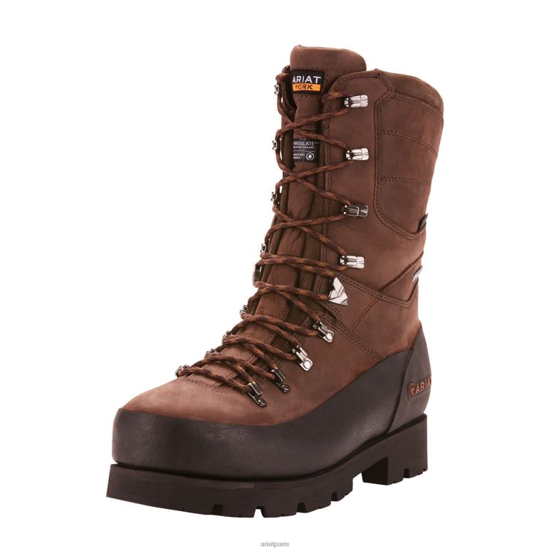 RJ66P363 Botte de travail à embout composite Gore-Tex 10" Ridgeman 400 g Ariat chaussure brun amer Hommes