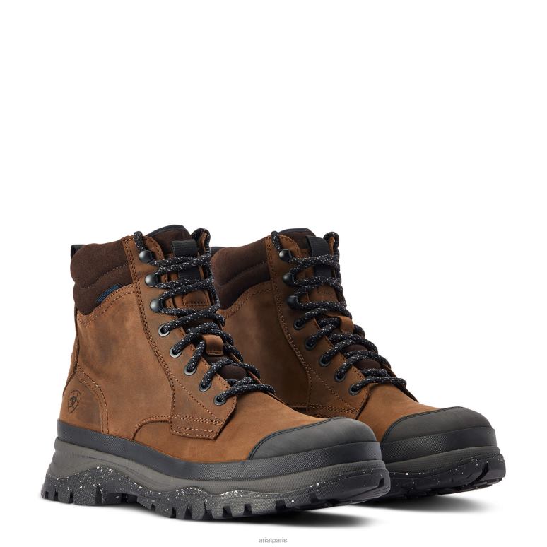 RJ66P405 botte imperméable moresby Ariat chaussure brun huileux vieilli Hommes