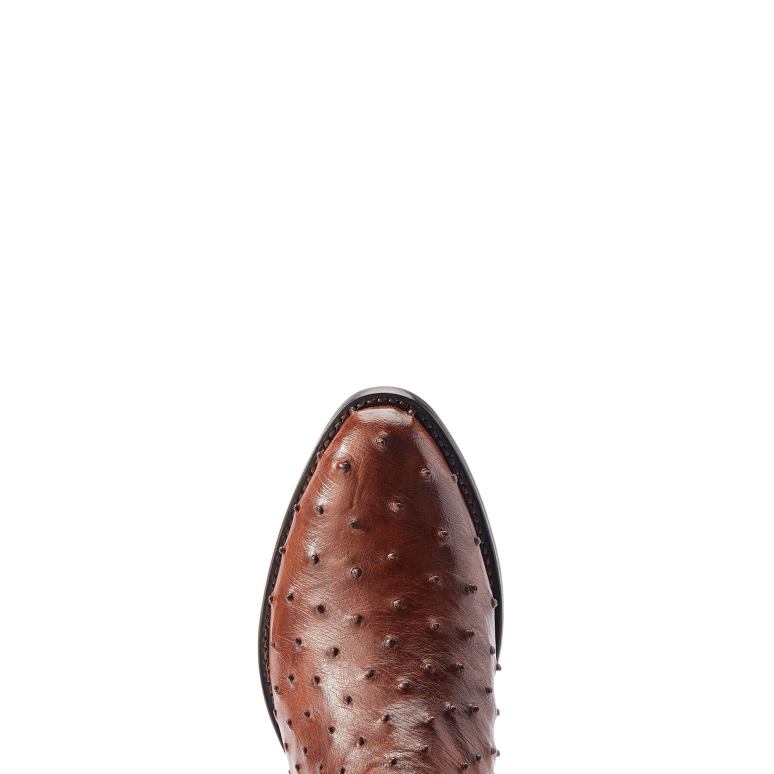 RJ66P103 James Ariat chaussure autruche pleine plume de bourbon Hommes