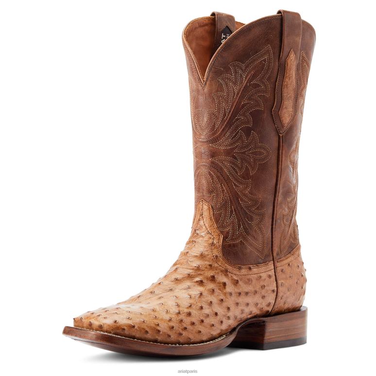 RJ66P111 basset Ariat chaussure autruche pleine plume en peau de daim Hommes