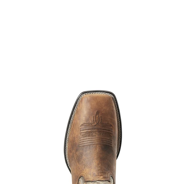 RJ66P117 botte western amos Ariat chaussure croquant à l'oseille Hommes