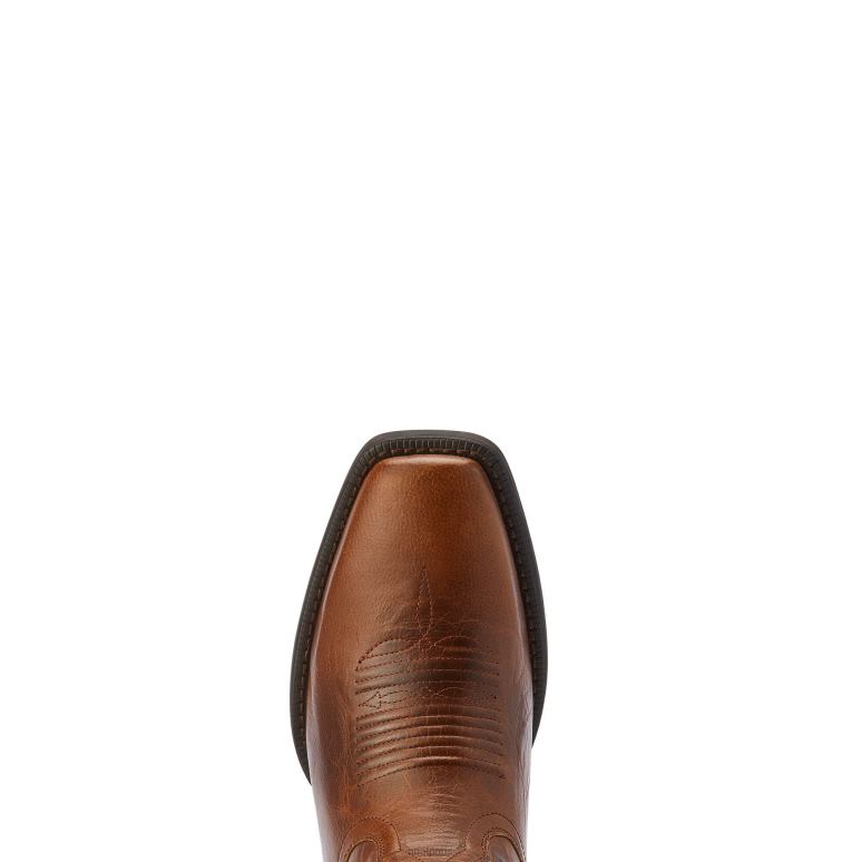 RJ66P124 botte western homme sport boss Ariat chaussure cognac riche Hommes