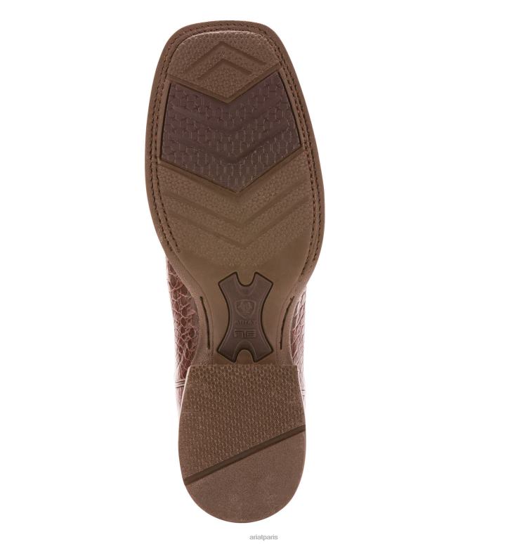 RJ66P139 botte western double duvet Ariat chaussure ventre de caïman antique aux pacanes Hommes