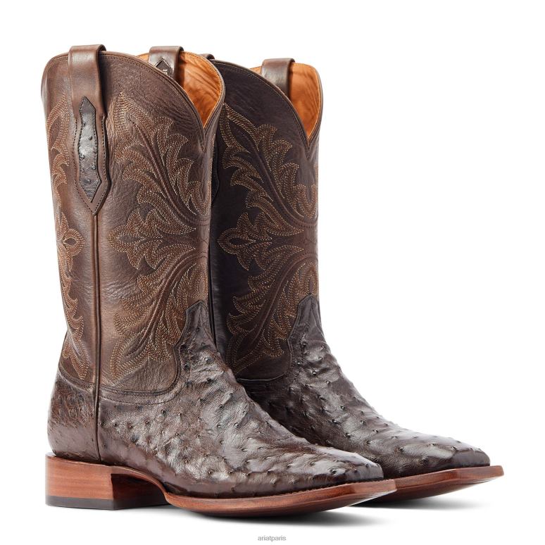 RJ66P149 basset Ariat chaussure autruche expresso pleine plume Hommes