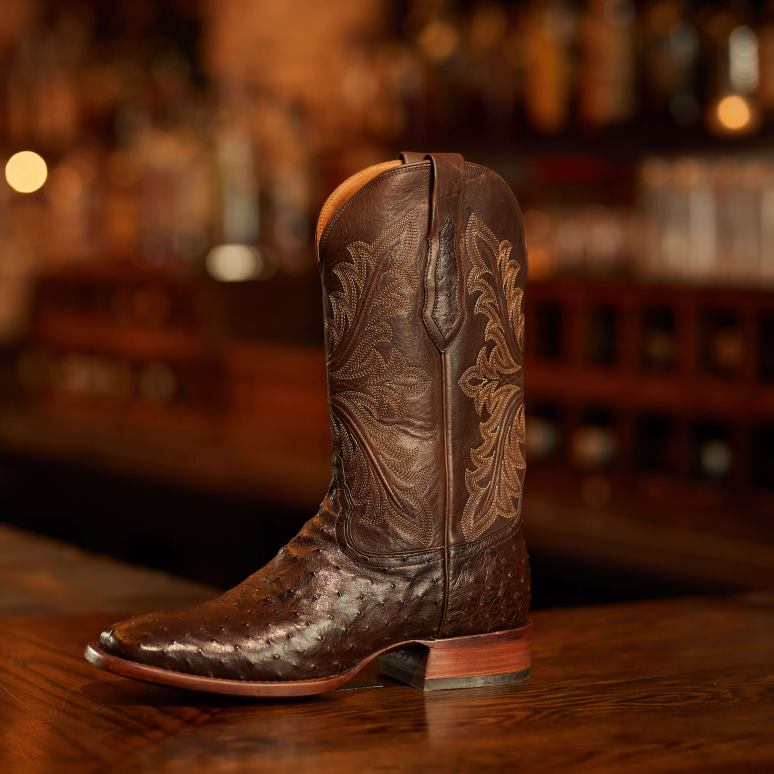 RJ66P149 basset Ariat chaussure autruche expresso pleine plume Hommes