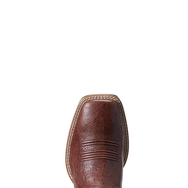 RJ66P159 botte ultra western de la vie nocturne Ariat chaussure autruche antique tabac sq Hommes