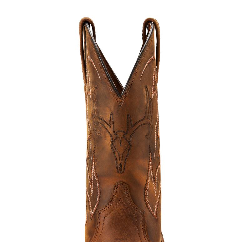 RJ66P15 botte western de sport en plein air Ariat chaussure marron vieilli Hommes