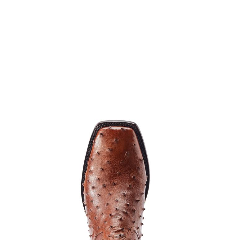 RJ66P162 basset Ariat chaussure autruche pleine plume de bourbon Hommes