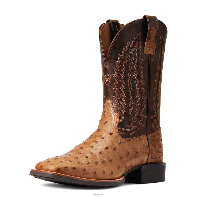 RJ66P164 botte western quantique primo Ariat chaussure autruche pleine plume ranger Hommes