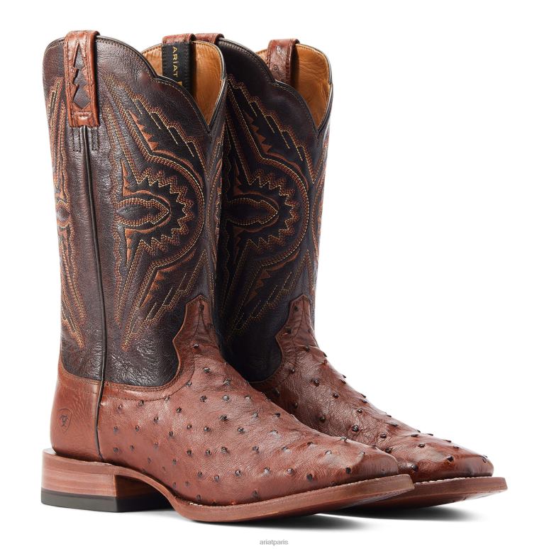 RJ66P184 botte western broncy Ariat chaussure autruche à plumes pleines à la cannelle Hommes
