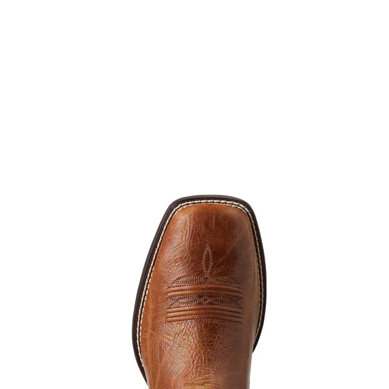 RJ66P188 botte western de marque Ariat chaussure bronzage foncé Hommes
