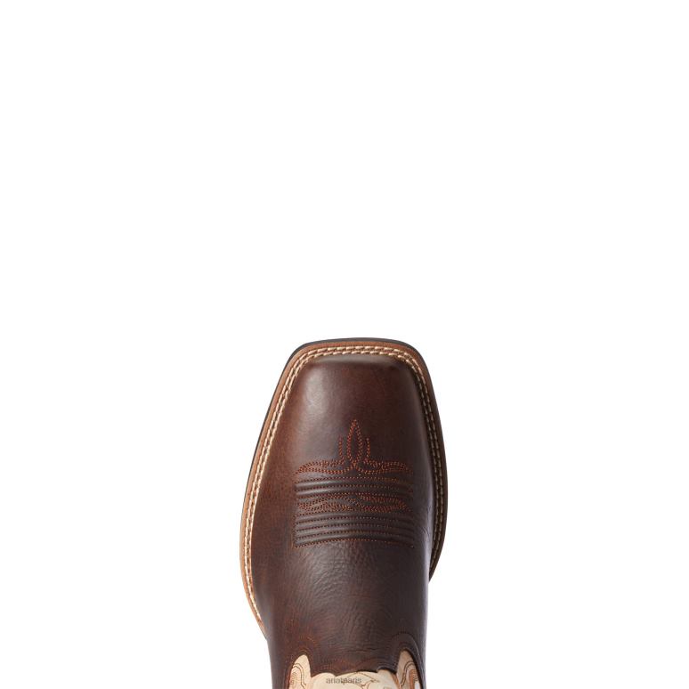 RJ66P193 botte western amos Ariat chaussure brun d'orge Hommes