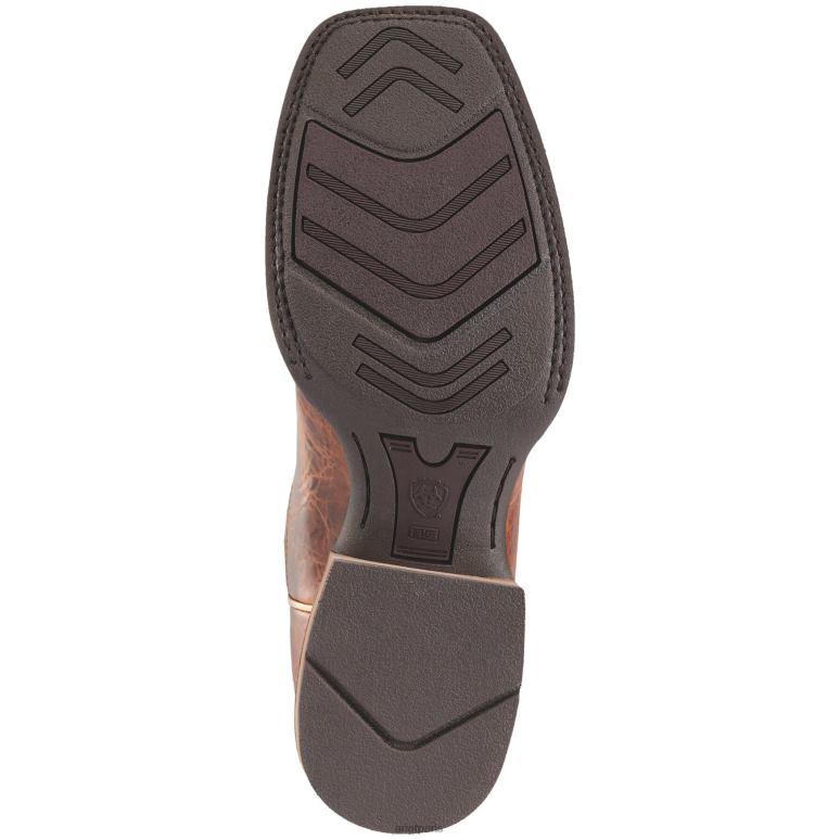 RJ66P195 botte western nighthawk Ariat chaussure brun bestial Hommes