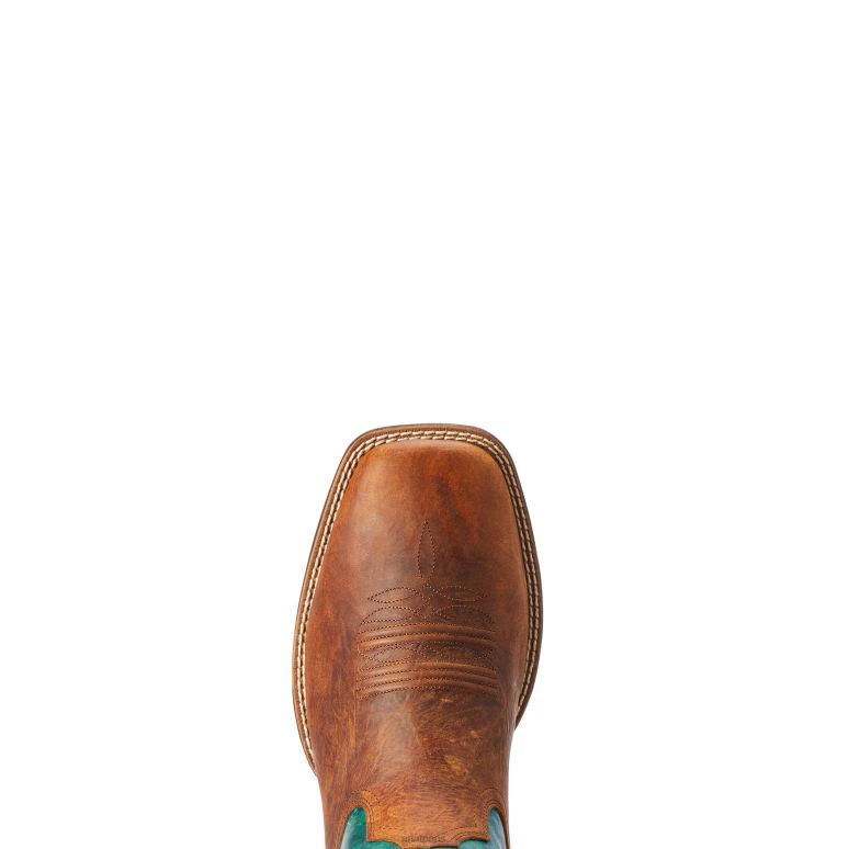 RJ66P210 botte western de thang sauvage Ariat chaussure croustillant brun ardent Hommes