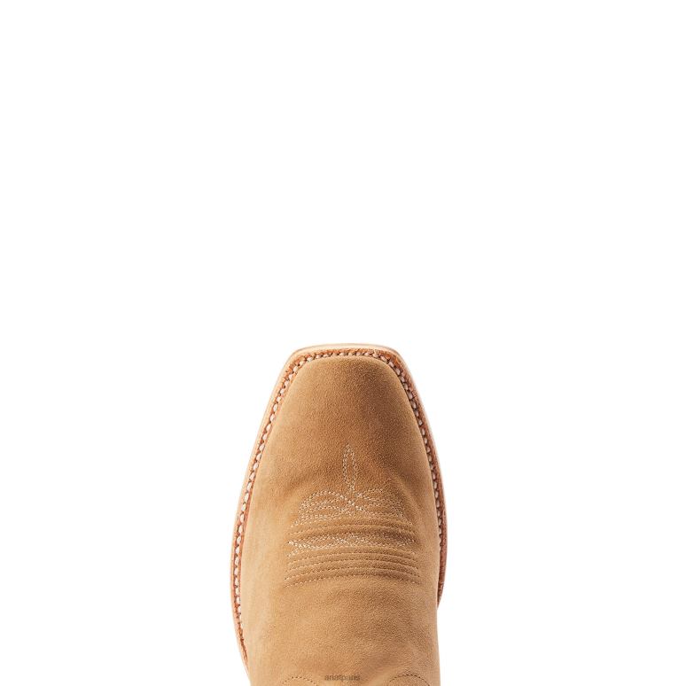 RJ66P44 botte western futurity showman Ariat chaussure Dijon Hommes