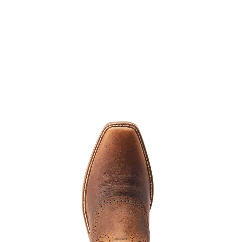 RJ66P74 botte western hybride à bout carré Ariat chaussure croquant à l'oseille Hommes