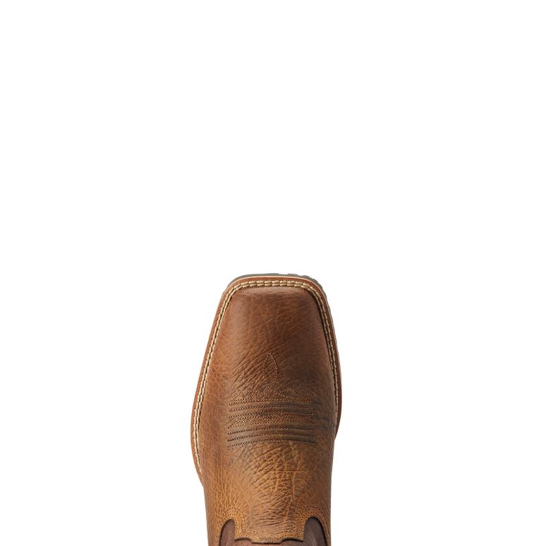 RJ66P99 botte western hybride Ariat chaussure Terre Hommes