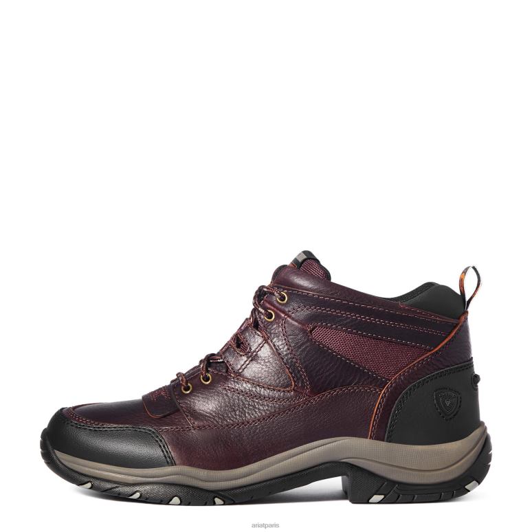 RJ66P170 terrain Ariat chaussure cordouan Hommes