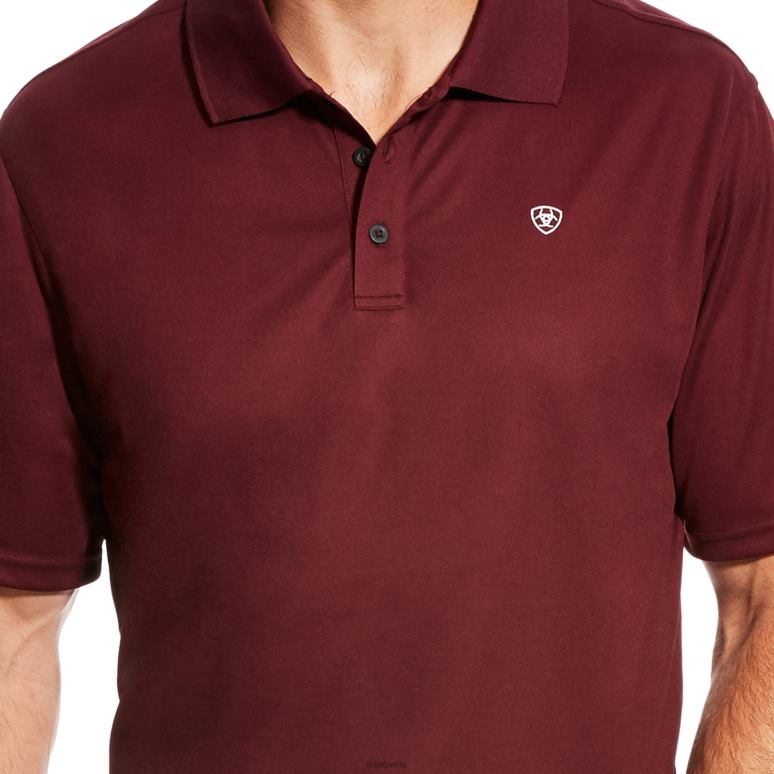 RJ66P561 polo tek Ariat hauts bordeaux Hommes
