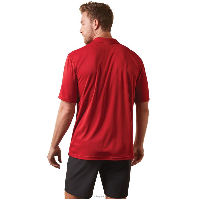 RJ66P582 polo tek Ariat hauts scooter Hommes