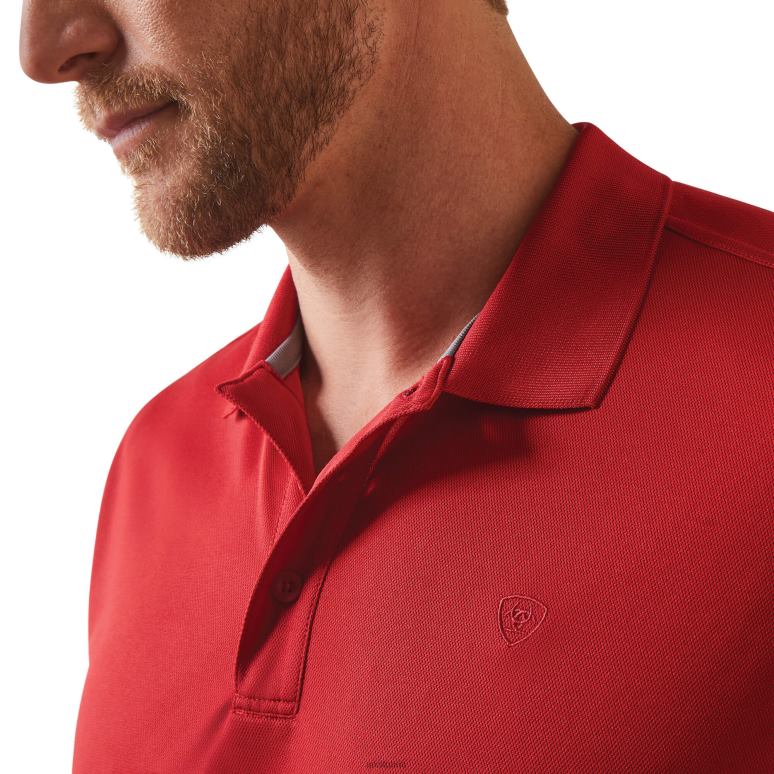 RJ66P582 polo tek Ariat hauts scooter Hommes