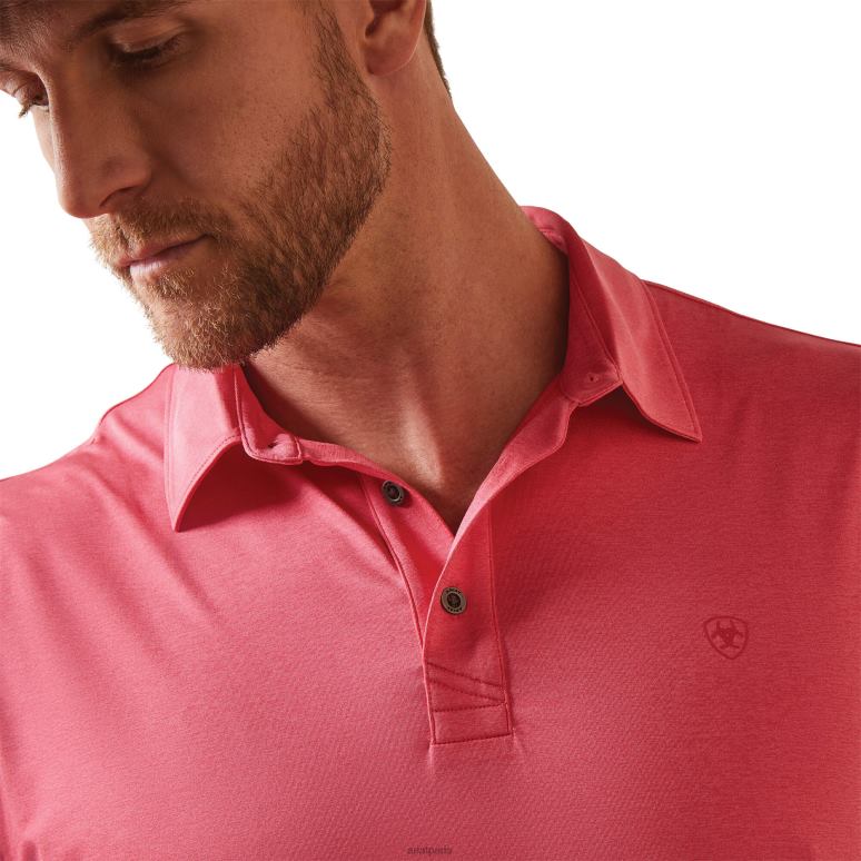 RJ66P747 polo ajusté chargeur 2.0 Ariat hauts azalée Hommes