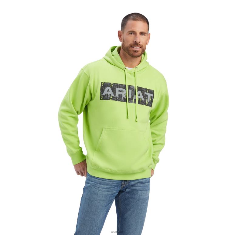 RJ66P1442 sweat sud-ouest Ariat hauts ara vert Hommes