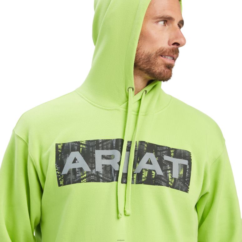 RJ66P1442 sweat sud-ouest Ariat hauts ara vert Hommes