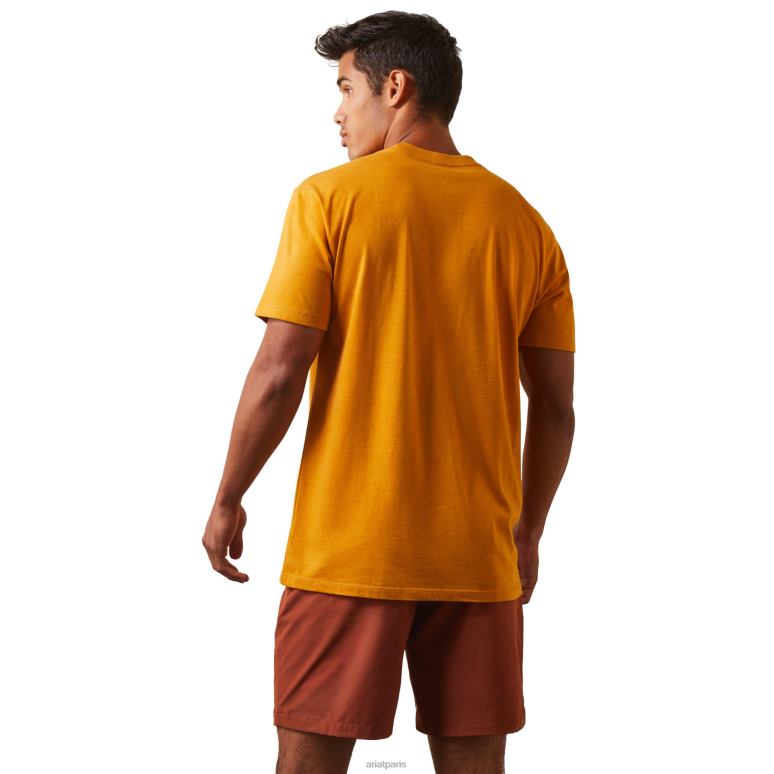 RJ66P907 t-shirt ombres Ariat hauts bruyère d'argousier Hommes