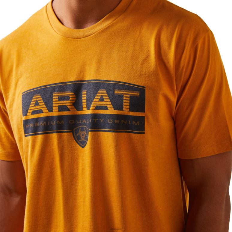 RJ66P907 t-shirt ombres Ariat hauts bruyère d'argousier Hommes